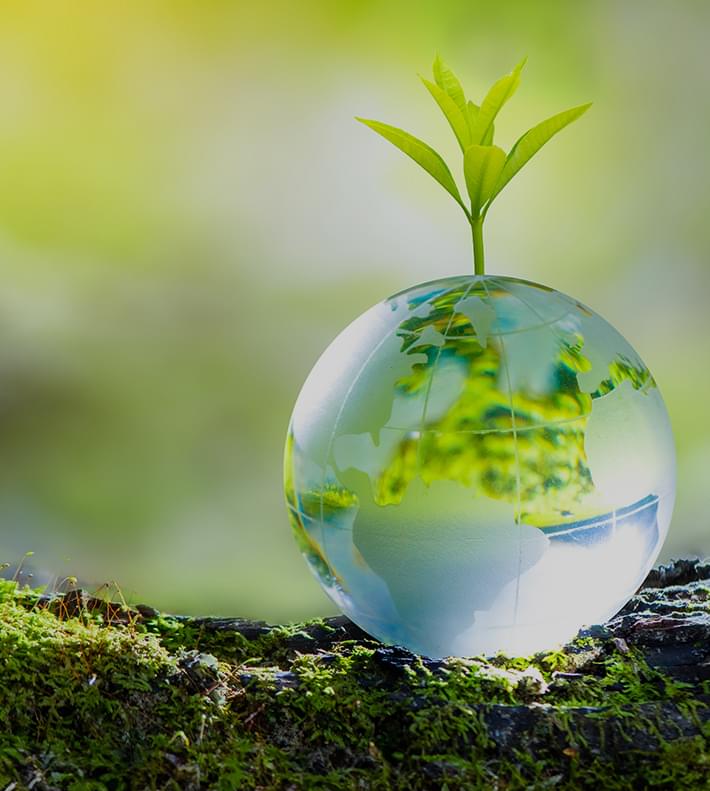 人と自然を大切に